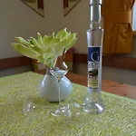 Gassoid