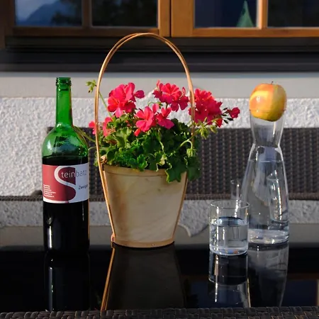 Gassoid Apartment Fieberbrunn