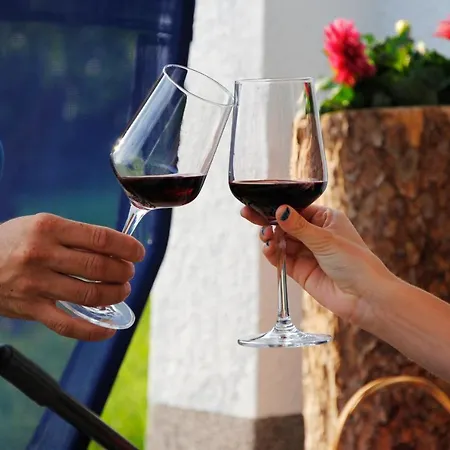 Gassoid Lejlighed Fieberbrunn