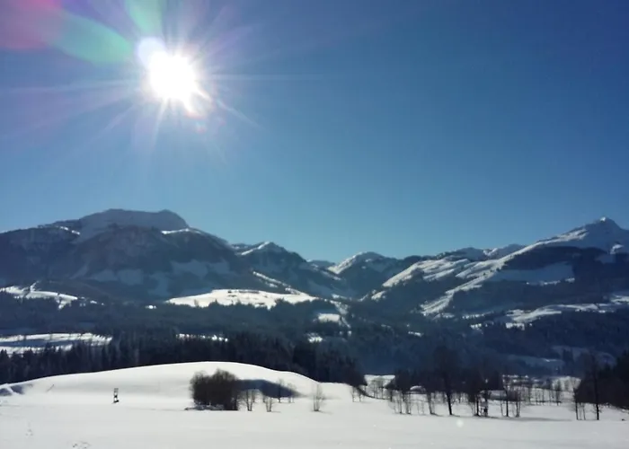 Lejlighed Gassoid Fieberbrunn