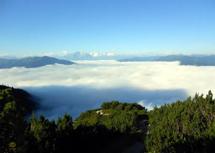 Gassoid * فيبربرن